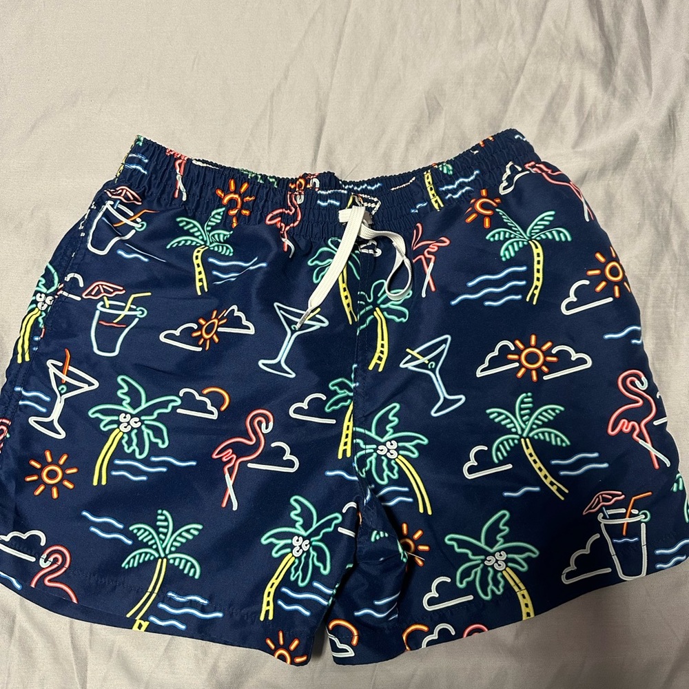 Men’s Chubbies Swim Trunks